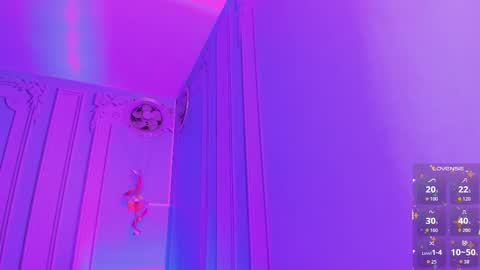         online show from 11.12.25