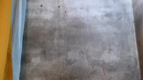 stephanie172 online show from 01.16.26