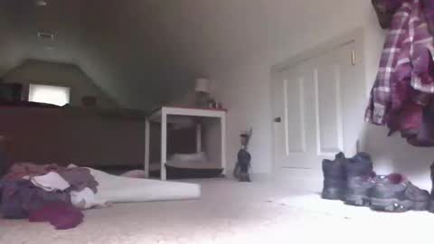 Snapshot of stevedevinrachel chatting on 10.13.25 steve online show from 10.13.25