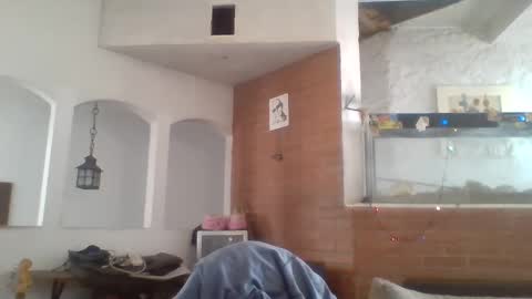 stevenson988 online show from 12.26.24