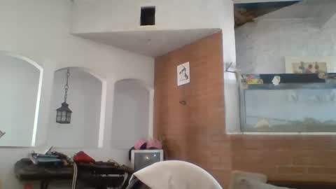 stevenson988 online show from 01.21.25