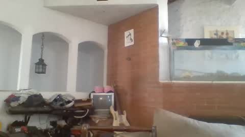 stevenson988 online show from 02.15.25