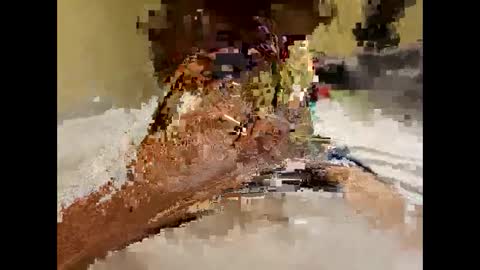 stittymike online show from 12.16.24