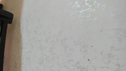 S T I V E N online show from 02.17.26