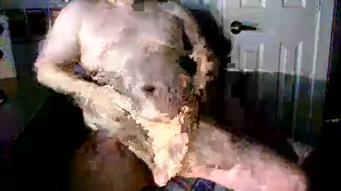 Snapshot of stockyguy31 chatting on 10.16.25 StockynCuddly online show from 10.16.25