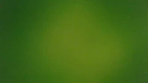 stonedandlovingit online show from 03.03.25