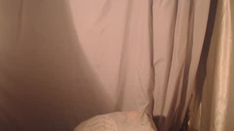 Snapshot of stonenipple chatting on 10.28.25 stonenipple online show from 10.28.25