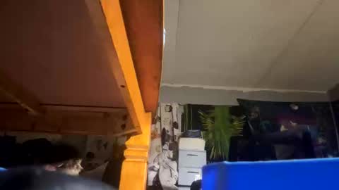 stonerlife42022 online show from 09.09.25