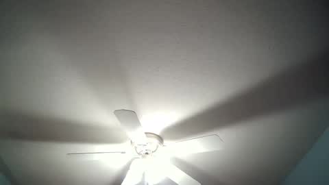 str8whiteboy21 online show from 12.19.24