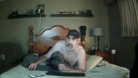 Straightbear4you online show from 03.07.25