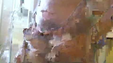 straightstroker81 online show from 12.11.24