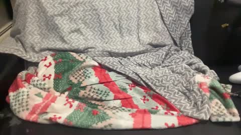 Snapshot of stroking33again chatting on 02.19.25 stroking33again online show from 02.19.25