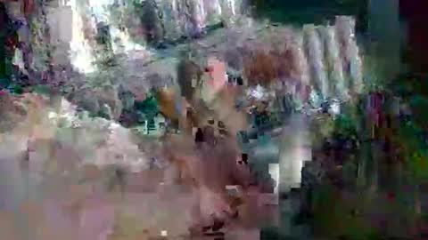 stud_1975 online show from 03.02.25