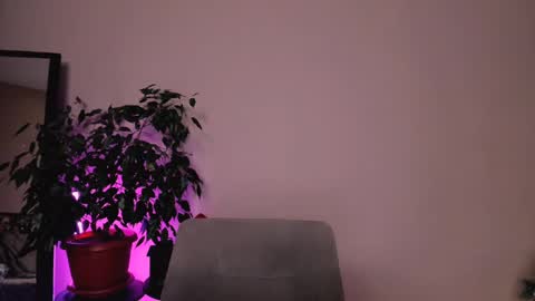 Mary online show from 12.18.24