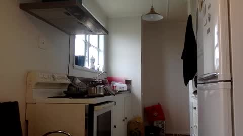 stugo1964 online show from 09.24.25