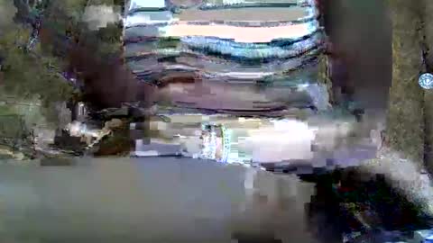 submissive_slut001 online show from 01.12.25