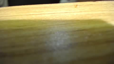 subswitchuser online show from 01.15.25