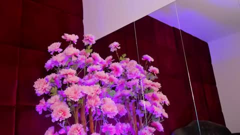 Sugar online show from 09.26.25