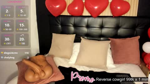 Summer online show from 02.18.25