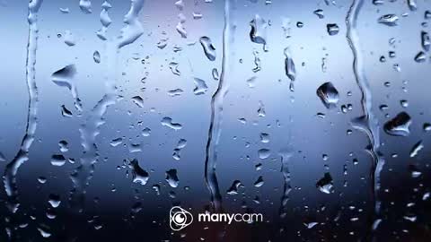 sven online show from 02.04.26