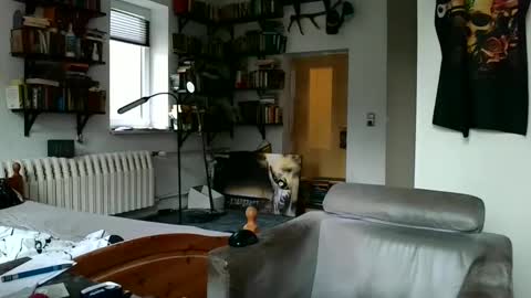 sunr1sa online show from 12.07.24