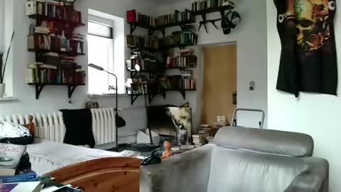 sunr1sa online show from 01.03.25