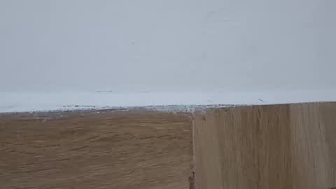 Annie online show from 10.06.25