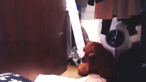 Snapshot of sunshinehella chatting on 12.03.24 Hella online show from 12.03.24