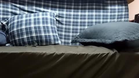 Snapshot of super_dave88 chatting on 09.28.25 Super dave88 online show from 09.28.25