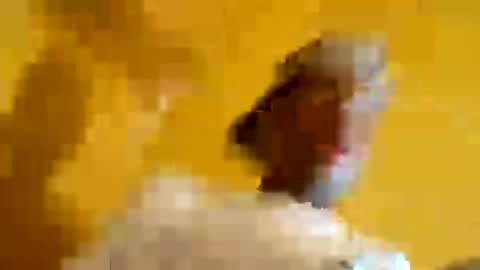 Snapshot of superbj245 chatting on 06.13.26 superbj245 online show from 06.13.26