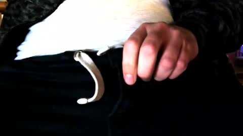 superstuntman1 online show from 02.10.25