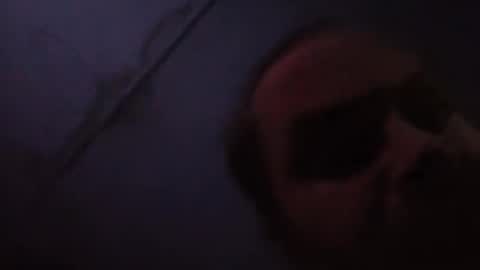 sloth online show from 02.20.26