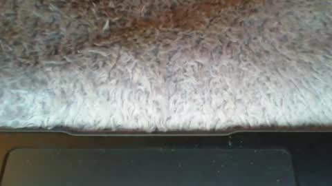 Suseee online show from 03.21.26