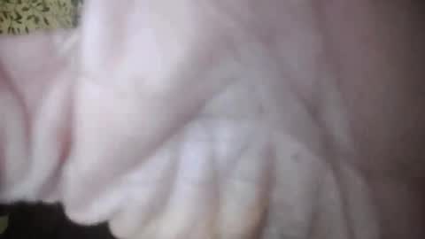 suzuki1250 online show from 04.05.26