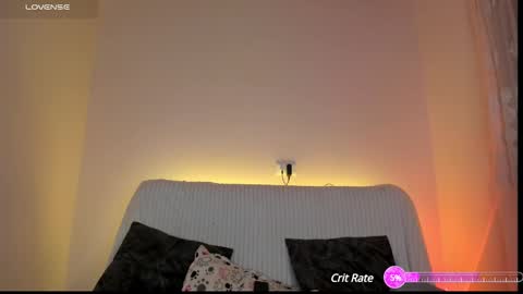 camil online show from 12.02.24