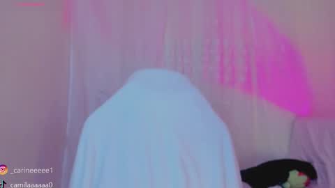 camil online show from 01.15.26