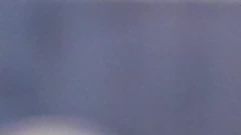 Catalina online show from 12.31.24