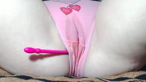 Kitten online show from 04.05.26