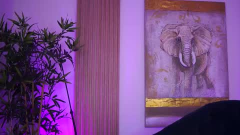 Lilly online show from 10.04.25