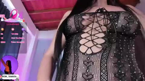 tamy  online show from 06.11.26