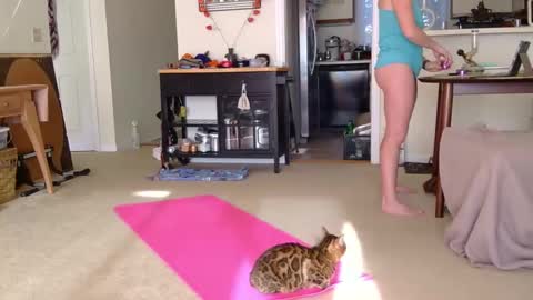 Heidi Brenner - Please check bio for schedule  FAQ online show from 10.07.25