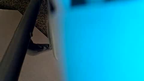 Snapshot of sweetboy842 chatting on 01.28.25 sweetboy842 online show from 01.28.25