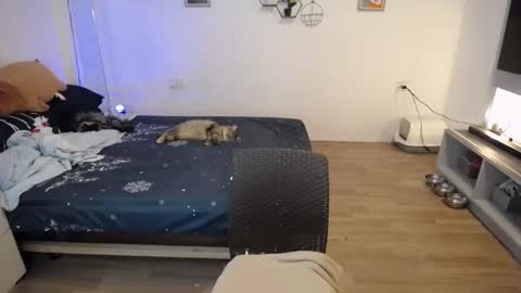 Snapshot of sweetcuteangel chatting on 01.21.25 angel 3 online show from 01.21.25