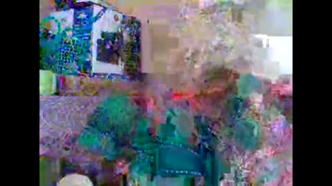 sweetib1 online show from 02.27.25