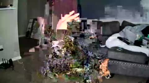 sweetness_cool online show from 10.22.25