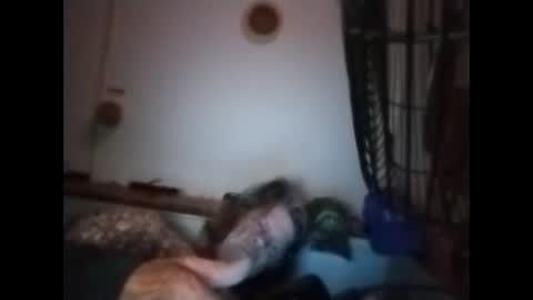 sweetsugar64 online show from 03.08.26