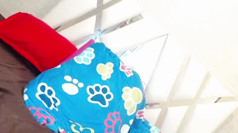 sweetsultrysiren online show from 01.23.25