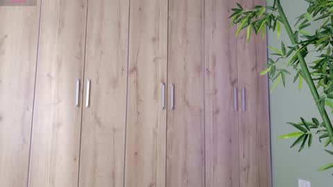    online show from 01.25.25