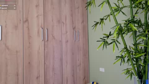    online show from 02.17.25