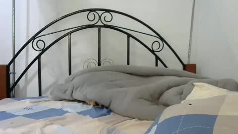 sweetvalariy online show from 01.24.25